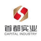 實業投資 首都實業投資的戰略選擇與未來展望